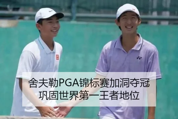 she-fu-lei-jin-biao-sai-jia-dong-duo-guan-gong-gu-shi-jie-di-yi-wang-zhe-di-wei-2-981.jpg