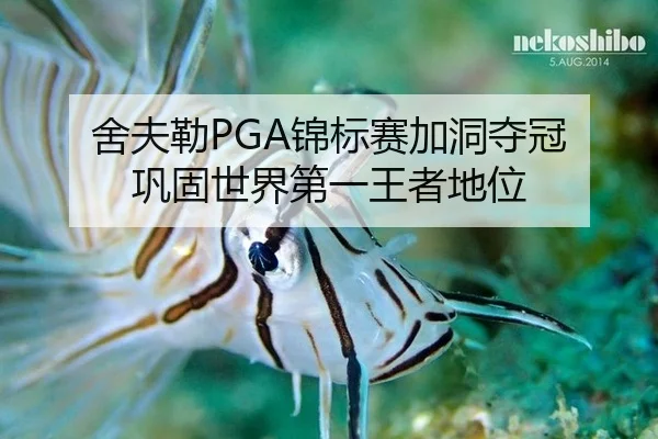 舍夫勒PGA锦标赛加洞夺冠 巩固世界第一王者地位